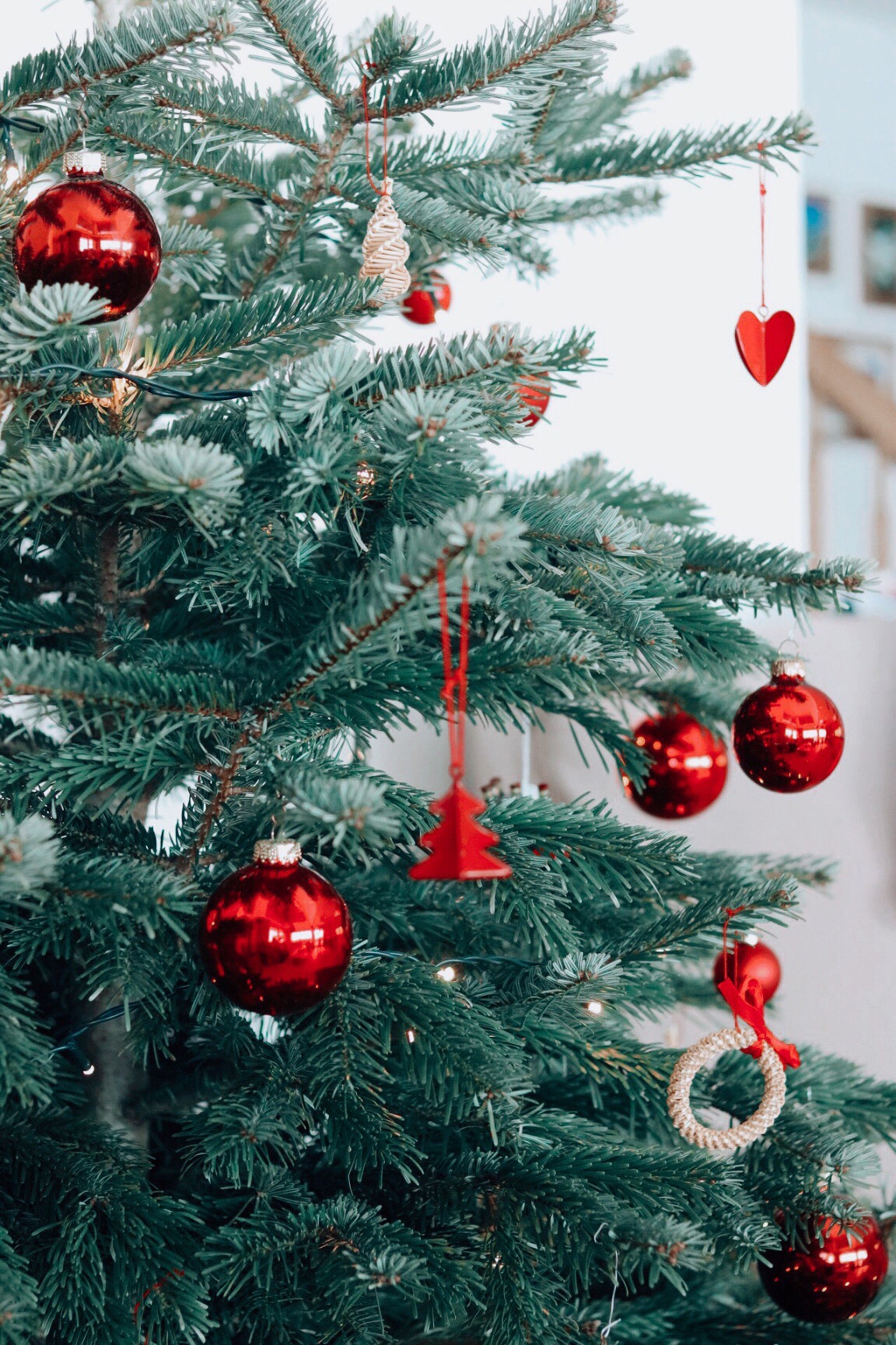 Holiday Gift Guide 2023