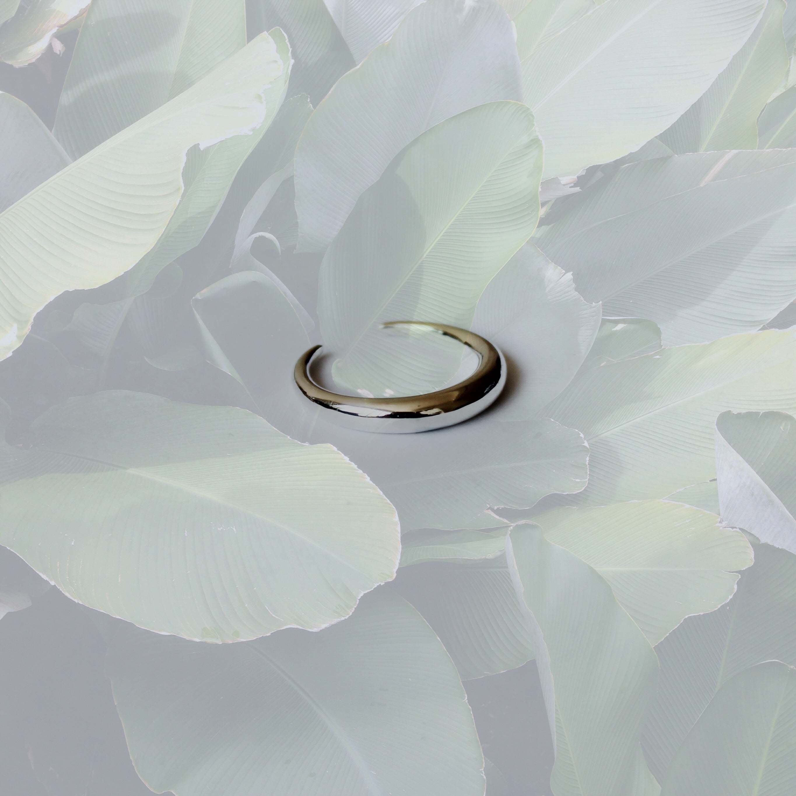 What are placeholder rings?