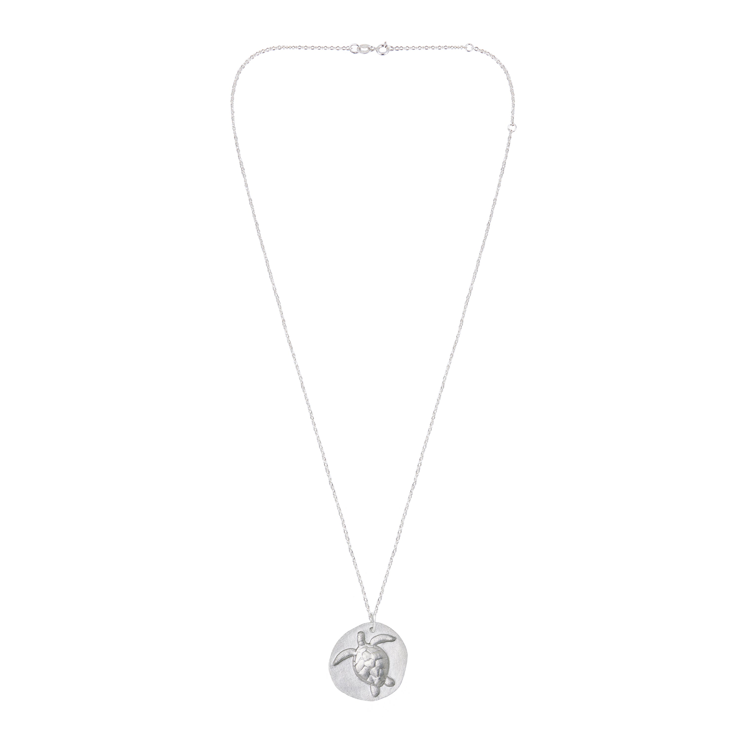WILD Sea Turtle Silver